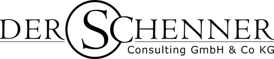 derSchenner Consulting Logo